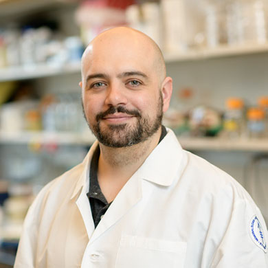 Francisco Barriga, Ph.D.