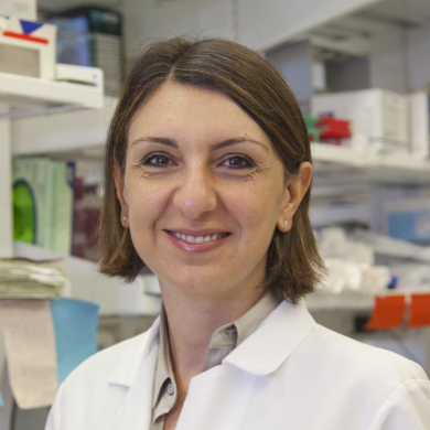 Eirini Papapetrou, M.D., Ph.D. 