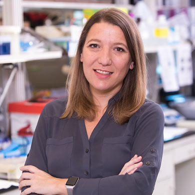 Maria E. Figueroa, M.D. 