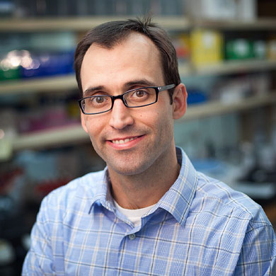 Jeffery M. Klco, M.D., Ph.D. 