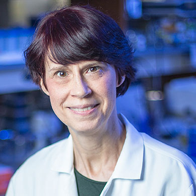 Sandra Zinkel, M.D., Ph.D.  